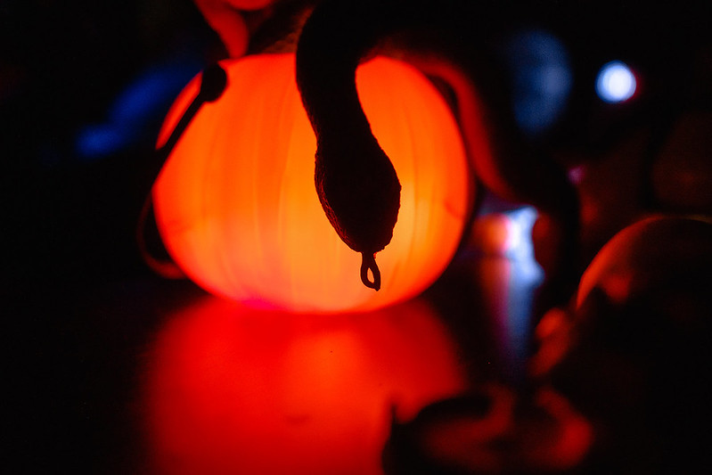 Украшение дома паутиной и летучими мышами к Хэллоуину в generalCities.Смоленске